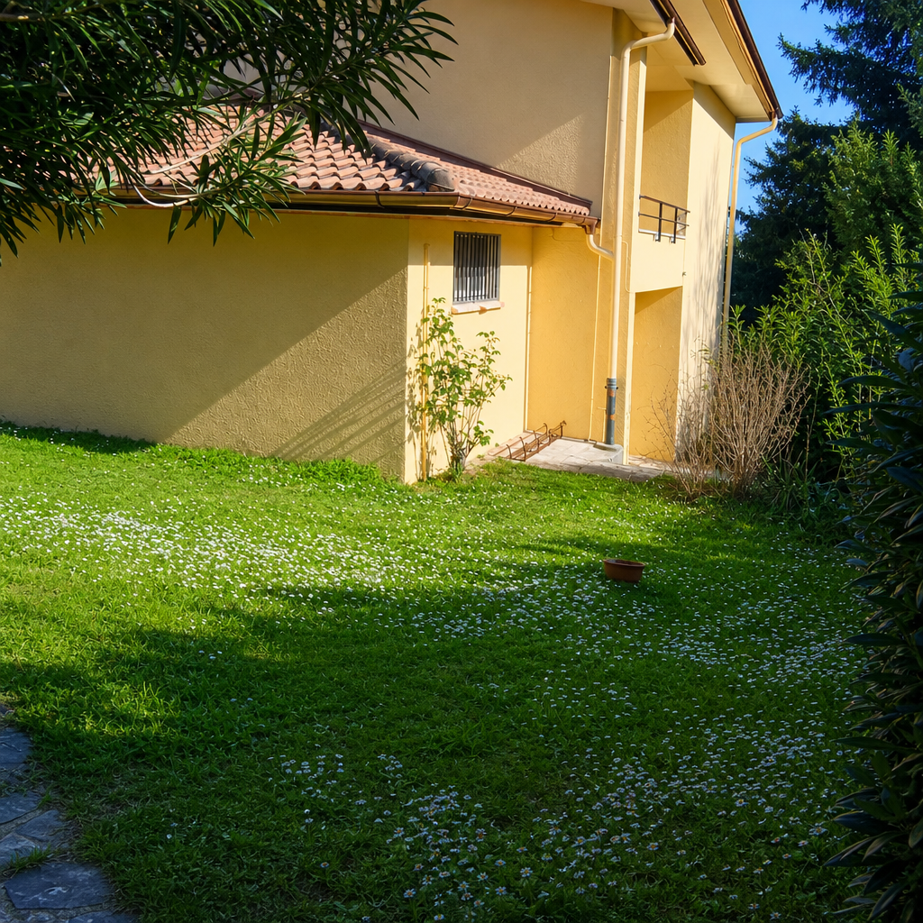 imm_1553-20260608180640-1024